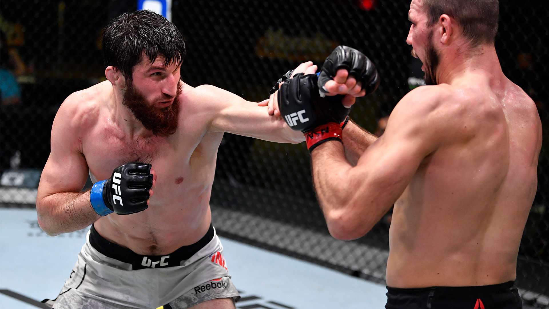 为都将受到 为都将受到