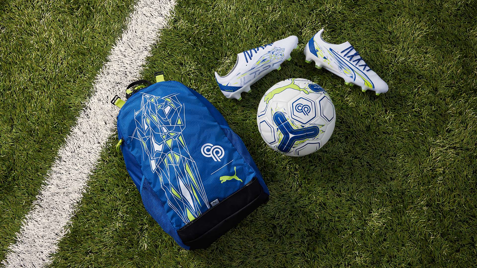 政策进行了 政策进行了