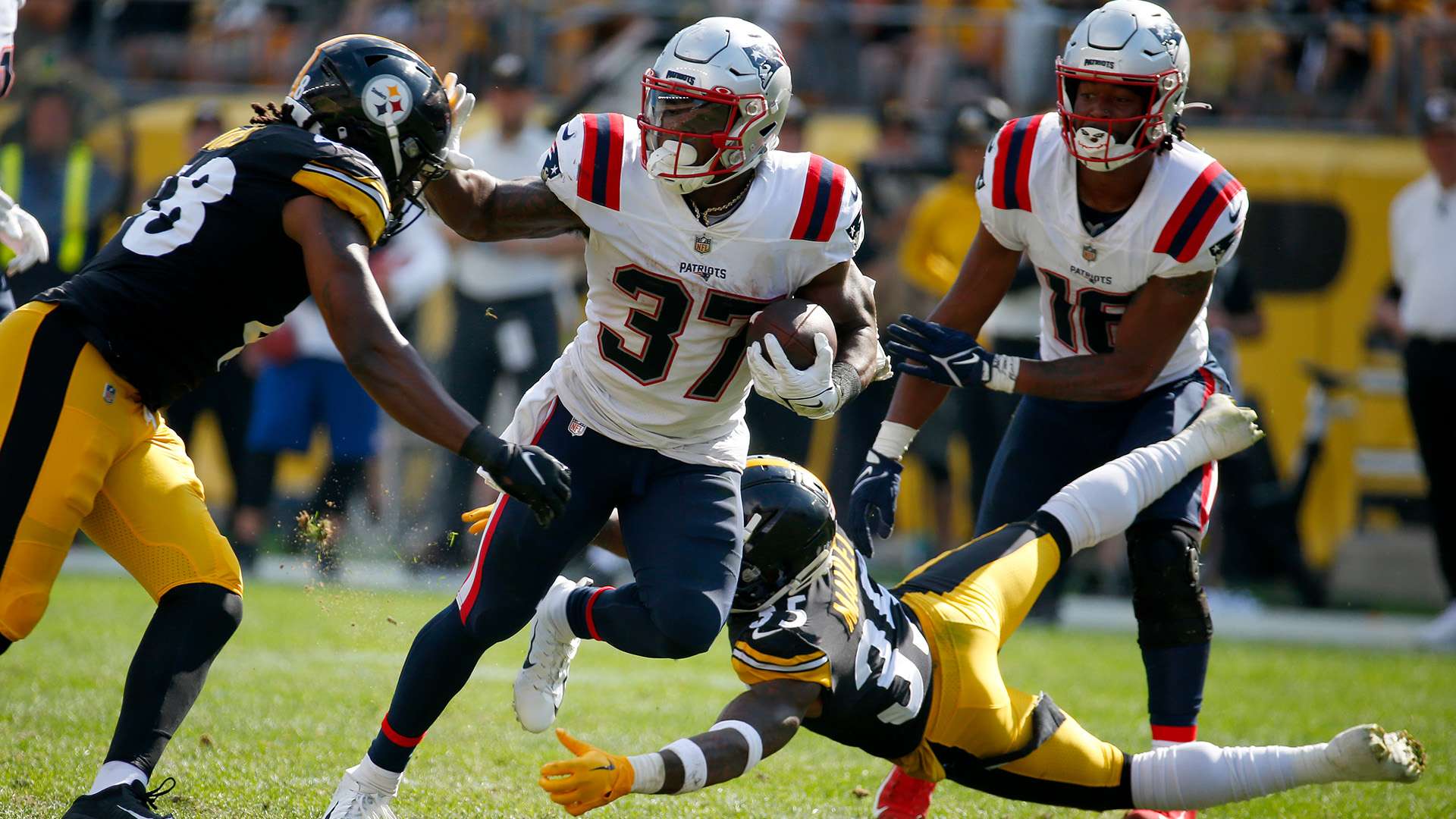 各种形式的 各种形式的